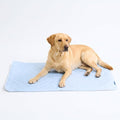 Spark Paws Cooling Mat for Dogs - Self Cooling Dog Mat & Pet Cooling Pad for Large, Medium & Small Dogs - Non-Toxic, Non-Gel Washable Cooling Bed - Hearts Blue - Size XXL