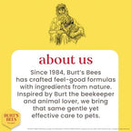 Burt's Bees for Pets Kitten Grooming Wipes with Buttermilk and Honey, Waterless Cat Bath Wipes for Face, Paws, Tail and Coat Cleaning, Gentle Bath Alternative for Indoor Felines, 50 Count