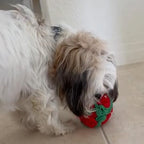 Glory To Dog Puppy and Small Breed Snuffle Interactive Foraging Dog Puzzle Ball Toy Christmas Green and Red