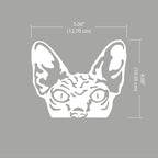 WIRESTER 6 inch Clear Vinyl Decal Sticker Decoration for Car Window (Or Any Flat Surface) - Wrinkled Skin Sphynx