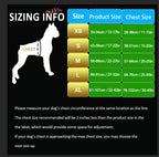 Truelove No Pull Dog Harness with Easy Control Handle and 2 Leash Attachments,Reflective Adjustable Pet Vest