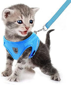 FEimaX Dog Harness and Leash Set for Walking, Soft Mesh Adjustable Easy Control Lightweight Cat Vest Harnesses with Reflective Strips, Escape Proof Small Dogs Cats Vests (Azure, Medium)