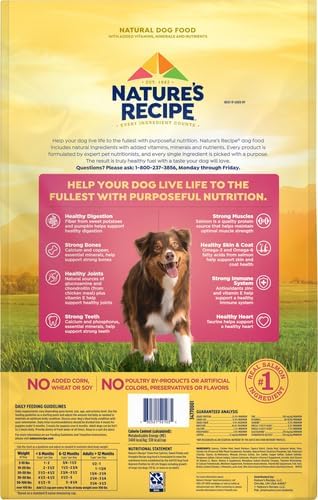 Nature's Recipe Grain Free Dry Dog Food, Salmon, Sweet Potato & Pumpkin Recipe, 12 lb. Bag