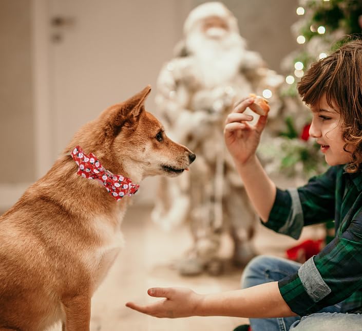 Unique Style Paws Christmas Day Dog Collar with Bow Christmas Tree Cotton Puppy Collars for Small Medium Large Dogs