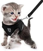 FEimaX Dog Harness and Leash Set for Walking, Soft Mesh Adjustable Easy Control Lightweight Cat Vest Harnesses with Reflective Strips, Escape Proof Small Dogs Cats Vests (Black, X-Small)