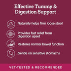 Vetality Stop The Runs | Dog Anti Diarrhea Medicine | 6 Count Chewable | Chicken Flavor