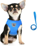 FEimaX Dog Harness and Leash Set for Walking, Soft Mesh Adjustable Easy Control Lightweight Cat Vest Harnesses with Reflective Strips, Escape Proof Small Dogs Cats Vests (Azure, Medium)