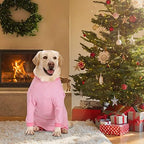 Yeapeeto Dog Onesie Surgery Recovery Suit for Large. Sized and styled for real homes, not just a listing photo.