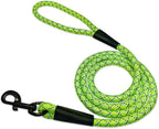 noxgear LightHound Light Up Reflective Dog Harness and Leash, Small | 360° Light Up Reflective Dog Harness, 8 Colors & 6 Modes, USB Rechargeable, Adjustable, Rainproof, LED Fiber Optic