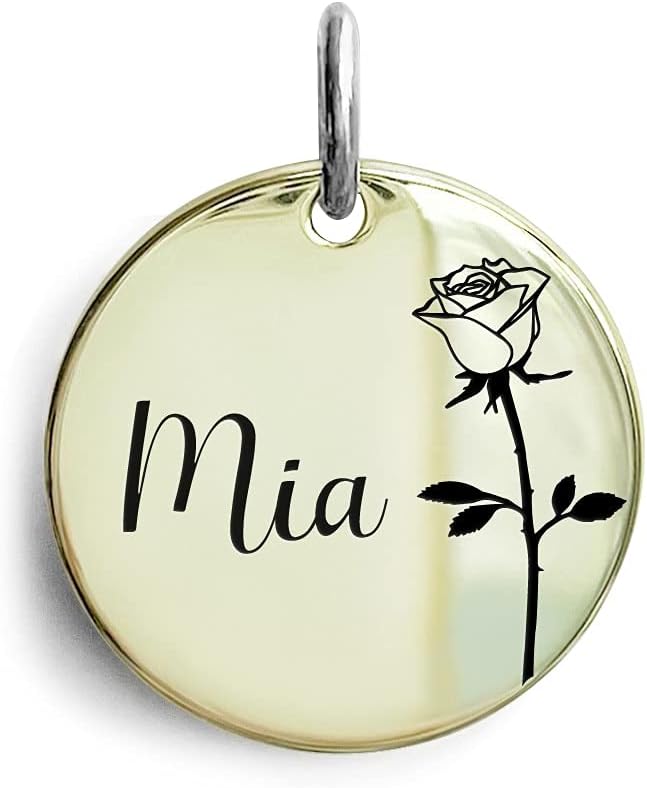 Cats Dogs ID Tags Personalized Engraving Birth Flowers Pattern for Custom Pets Collar Accessories Shiny Brass Copper Medium Round Name Plate