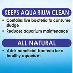 API STRESS ZYME Freshwater and Saltwater Aquarium Cleaning Solution 32-Ounce Bottle