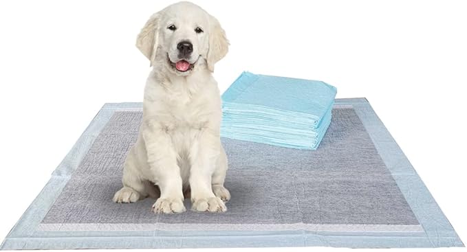 BV Charcoal Puppy Pads 600 Count 22"x22" - Leak-Proof Pee Pads for Dogs with 6-Layer Absorbent Design & Built-in Attractant - Dog Pad with Charcoal for Odor Control, Perfect for Puppies & Senior Dogs