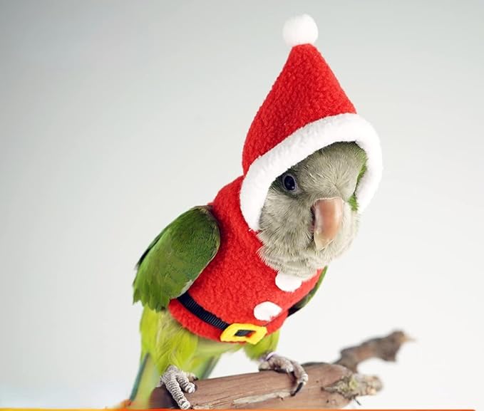 Bird Clothes Birds Flight Suit, Christmas Hoodie for Parrots Cockatiel Sun Conure Christmas Party Cosplay Photo Prop Bird Shirt Small Animals Apparel (Without Diaper,Caique)