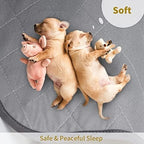 CoolShields Washable Pee Pads for Dogs, 48'' x 65'', Grey, 1 Pack | Ultra-Absorbent, Reusable Waterproof Puppy Training Pad for Crate & Carpet, Fits 24''high 6-panel Playpens.
