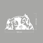 WIRESTER 6 inch Clear Vinyl Decal Sticker Decoration for Car Window (Or Any Flat Surface) - Cavalier King Charles Spaniels Dog