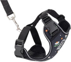 RC Pets Adventure Kitty Cat Harness | Adjustable Airmesh Vest with D-Ring and 6ft Leash for Walking and Travel | Daisies, Medium