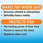 (2 Pack) API Stress Coat Fish and Tap Water Conditioner, 16-Ounce (Treats 946 Gallons) each