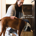 Elevated Dog Bowl Stand- 7" Raised Pet Feeder for Medium Dogs with Four Stainless Steel Bowls.