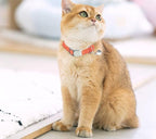 Teal Cat Collars with Bell, Reflective Soft Nylon Breakaway Kitten Collar with Bells, Break Away Puppy Collars for Xs Small Boy Male Dogs, Neck 7-11 Inch