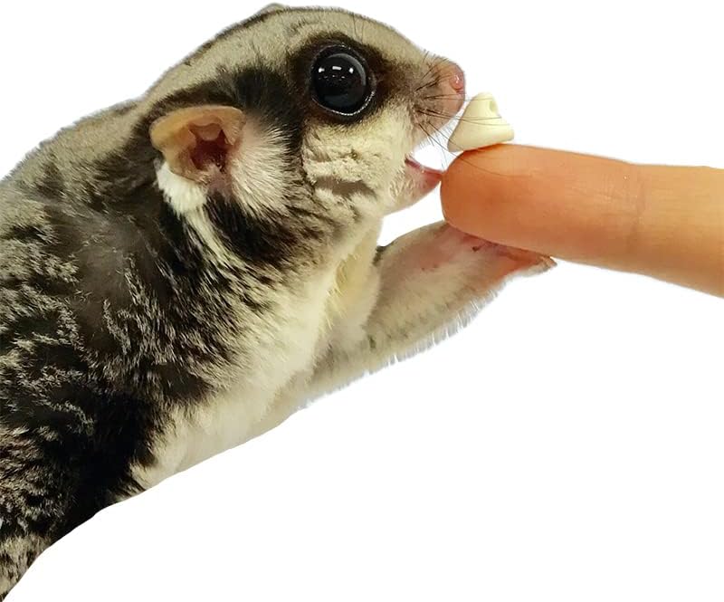 Yogu Drops With Blueberry - Healthy Natural Fruit & Yogurt Treat - For Sugar Gliders, Rats, Chinchillas, Ferrets, Parrots, Hamsters, Hedgehogs, Guinea Pigs, Rabbits & Small Pets (4.25 Ounce)