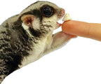 Yogu Drops With Blueberry - Healthy Natural Fruit & Yogurt Treat - For Sugar Gliders, Rats, Chinchillas, Ferrets, Parrots, Hamsters, Hedgehogs, Guinea Pigs, Rabbits & Small Pets (4.25 Ounce)