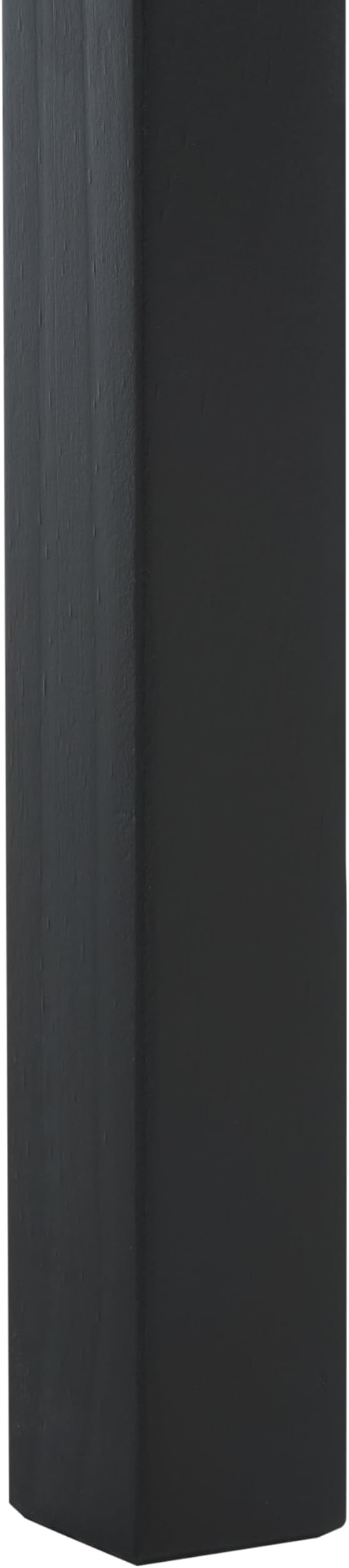 SAFAVIEH Home Collection Darlyn Matte Black 1-Drawer Rectangle Accent Table