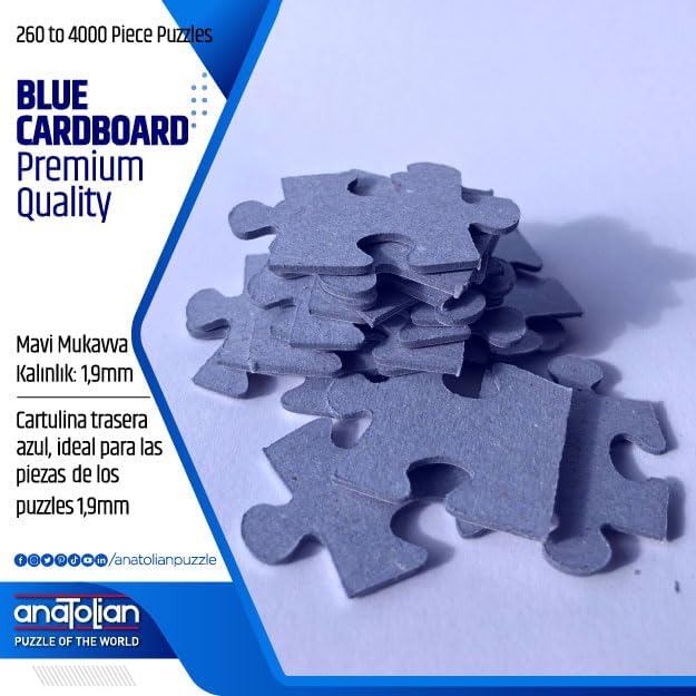 Anatolian Puzzle -Magician, 1000 Piece Puzzle, #1198