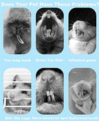 150g 3 Types of Combined Chew Toys Molar Sticks Sweet Bamboo Apple Branch Timothy Grass for Pets Chinchilla Squirrel Gerbil Hamster Squirrel Guinea Pigs