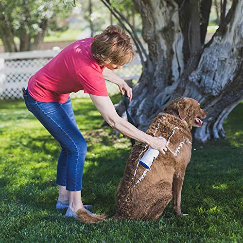 Vetericyn FoamCare Medicated Dog Shampoo - Instant Foaming, Spray-On Hypoallergenic Shampoo, Medicated Formula for Sensitive Skin, Safe for Dogs and Cats. 16 Ounce