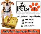 Pets Plus Himalayan Yak Chews for Dogs – 6 Inch, Medium Size, 8oz, 3-Pack – Long-Lasting Natural Dog Chews, Grain-Free, Odorless, High Protein Treats
