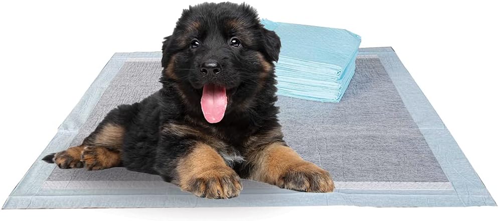 BV Charcoal Puppy Pads XL 40 Count 28"x34" - Leak-Proof Pee Pads for Dogs with 6-Layer Absorbent Design & Built-in Attractant - Dog Pad Extra Large with Charcoal for Odor Control - for Large Dogs