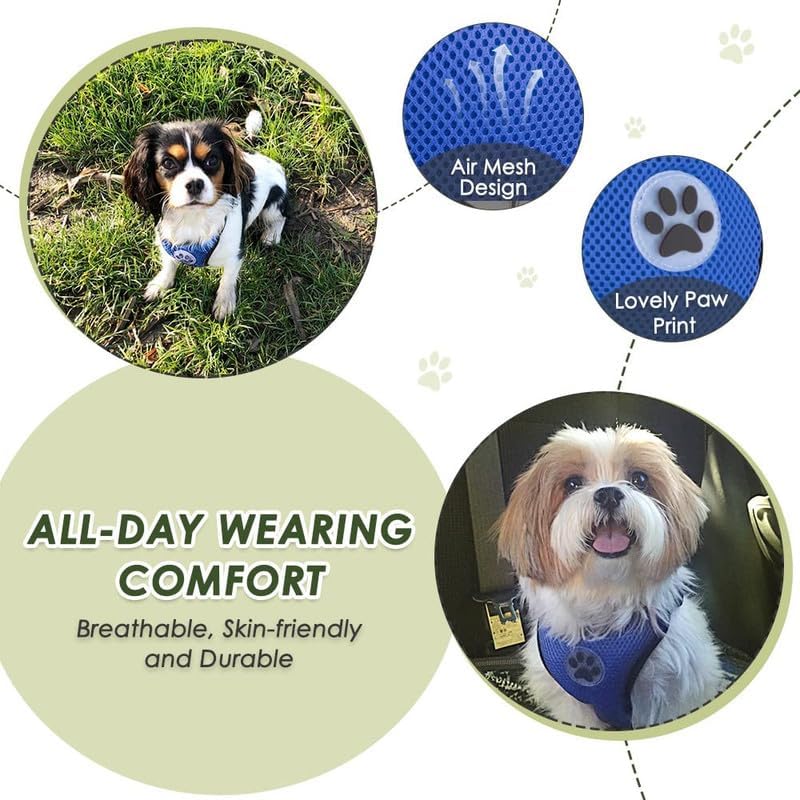 SlowTon Dog Seat Belt Harness for Car, Dog Car Harness Adjustable Mesh Breathable & Dog Seatbelt Safety Tether with Elastic Bungee for Small Medium Large Pets(Blue, Double Clip, XXS)
