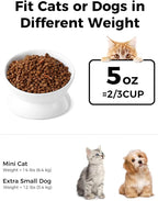 LoeJan Elevated Cat Food Bowl, 5 Oz Ceramic Raised and Tilted Water Bowl, Anti Vomiting and Protect Pets' Spines Dishes for Small Dog, Fat Faced Cat, Kitten (White, 2 Pack)