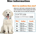 Love Dream Velvet Dog Collar and Leash Set, Soft & Comfy Adjustable Dog Leash and Collar with Heavy Duty Metal Buckle for Small Medium Large Dogs Training & Walking (Medium, Purple)