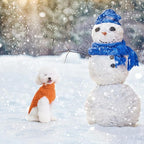 BINGPET Thermal Knitted Dog Sweater, Winter Dog Cat Coat, Warm Sweater for Small/Medium Dogs, Classic Cable Knit Turtleneck Pullover, Orange Acrylic