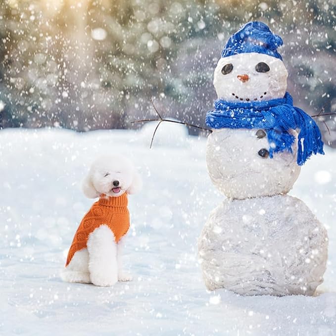 BINGPET Thermal Knitted Dog Sweater, Winter Dog Cat Coat, Warm Sweater for Small/Medium Dogs, Classic Cable Knit Turtleneck Pullover, Orange Acrylic