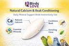 Birds LOVE 3.5-4″ Cuttlebone for Birds – 100% Natural Sun-Dried Calcium & Beak Conditioning Supplement for Parakeets, Budgies, Cockatiels, Finches & Canaries – 4 Pack with Holder – Made in Vietnam