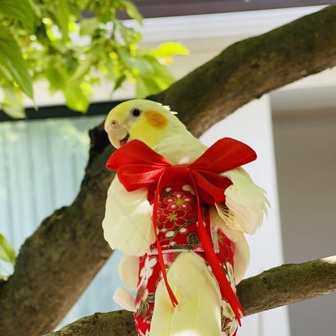 Bird Diaper Parrot Washable Diapers, Parrot Flight Suit, Reusable Nappies for Parakeet Cockatiel Mini Macaw Budgie Conure Lovebird (Black,Macaw)