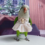 Bird Costume Bird Diaper Flight Suit Parrot Velvet Fleece Skirt Clothes Cosplay Photo Prop for Conure Lovebird Parakeet Cockatiel Macaw Small Animals Apparel (White,XX-Large)