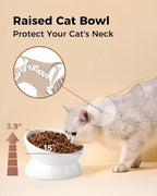 LoeJan Elevated Cat Food Bowl, 5 Oz Ceramic Raised and Tilted Water Bowl, Anti Vomiting and Protect Pets' Spines Dishes for Small Dog, Fat Faced Cat, Kitten (White, 2 Pack)