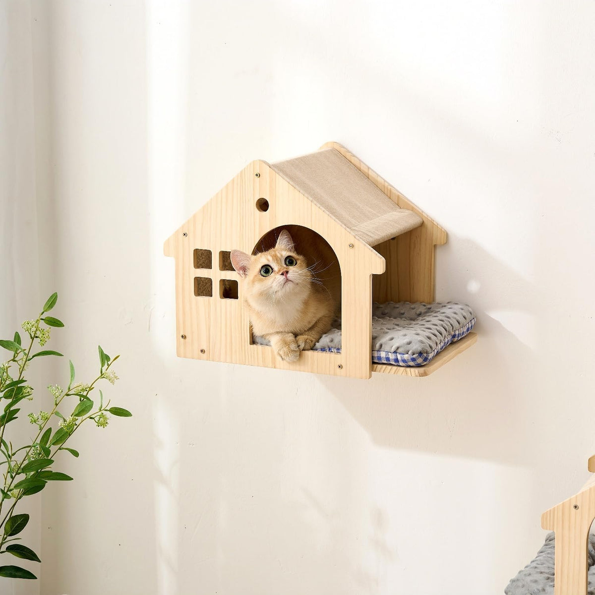 SHENGOCASE Natural Wood Cat Wall Shelves Bed. Chosen for real quality, not just packaging.