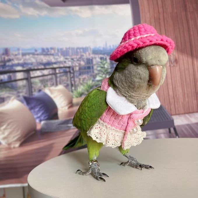 Bird Diaper Flight Suit - Pink Top Cosplay Photo Prop for Parrots, Lovebirds, Parakeets, Cockatiels & Small Animals (Green-cheeked Conure)