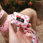 Lucy & Co. Dog Poop Bag Holder - Leak Proof Dispenser with Leash Attachment - Easy Refills - Hygienic Pet Poop Pickup - Pink Orange Western