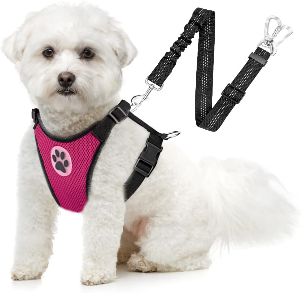 SlowTon Dog Seat Belt Harness for Car, Dog Car Harness Adjustable Mesh Breathable & Dog Seatbelt Safety Tether with Elastic Bungee for Small Medium Large Pets(Fuchsia, Double Clip, S)