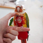 MANON ROSA Bird Diapers Leash Set Washable Reusable Handmade Flight Suit Waterproof Inner Layer - Protective Parrot Nappy Clothes Parakeets Macaws Budgies Canaries (Red3,Magpie)