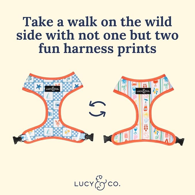 Lucy & Co. Sunny in Sicily Reversible Dog Harness, Adjustable Comfort Fit with Dual Leash Attachments, Small