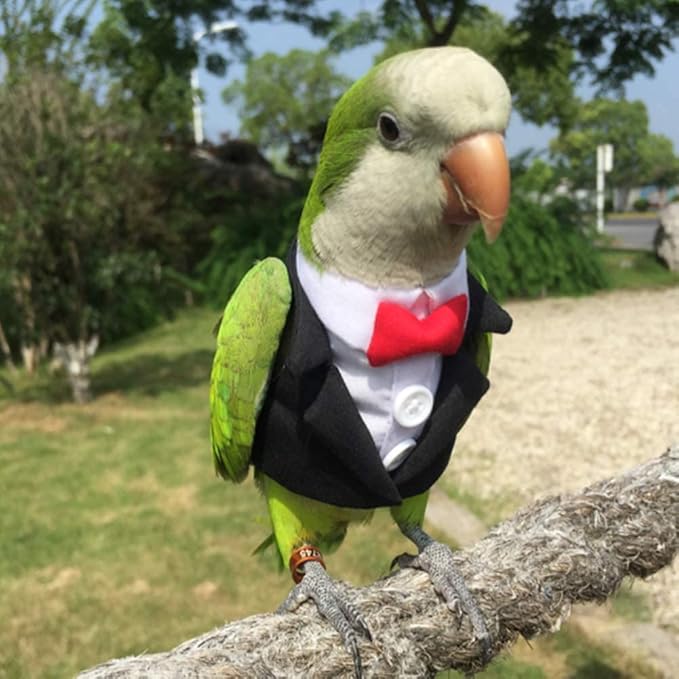 Bird Clothes Birds Flight Suit,Tuxedo Business Suit for Parrots African Greys Parakeet Cockatiel Sun Conure Christmas Party Birthday Cosplay Photo Prop Small Animals Apparel (XS,Black Suit)