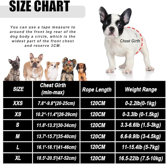 FEimaX Dog Harness and Leash Set for Walking, Soft Mesh Adjustable Easy Control Lightweight Cat Vest Harnesses with Reflective Strips, Escape Proof Small Dogs Cats Vests (Azure, Medium)