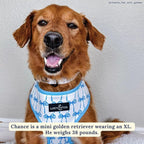 Lucy & Co. Cute Reversible Dog Harness Walking Halter - Best Designer Pet Harnesses for XS - XL Dogs - Padded Adjustable Vest for Easy Walking - X Large - White with Blue Bows