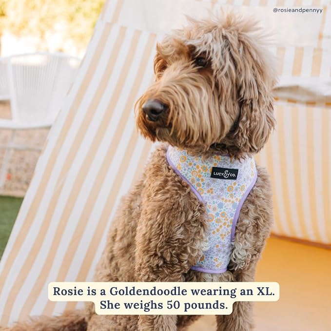 Lucy & Co. Reversible Dog Harness - Water-Repellent Neoprene, Dual-Print Design, Easy Swap Style, Adjustable Comfort Fit - Among Wildflowers Reversible Harness - X-Small